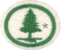 Árboles II